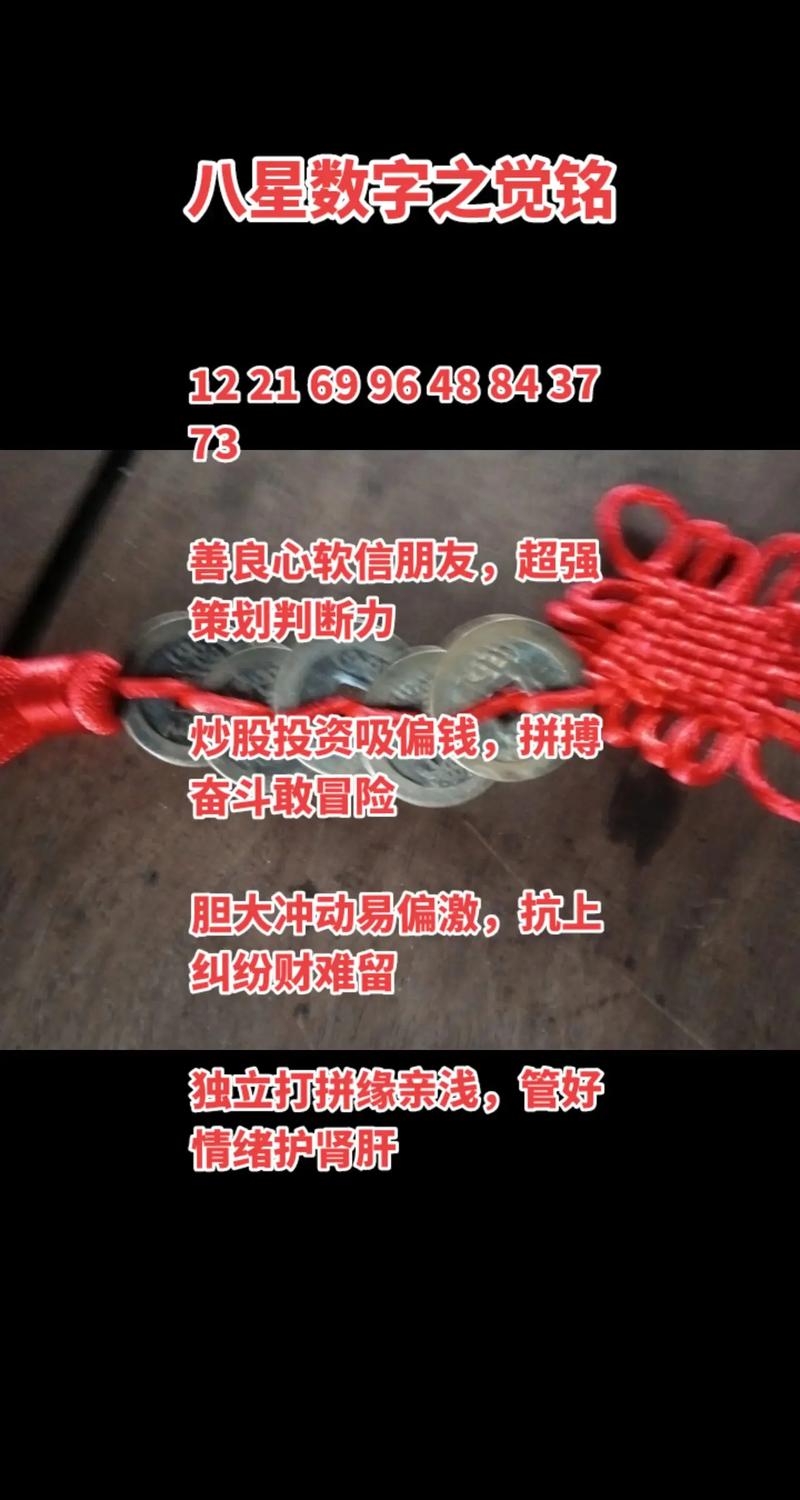 文化领域的新风向：数易文化的独特策略